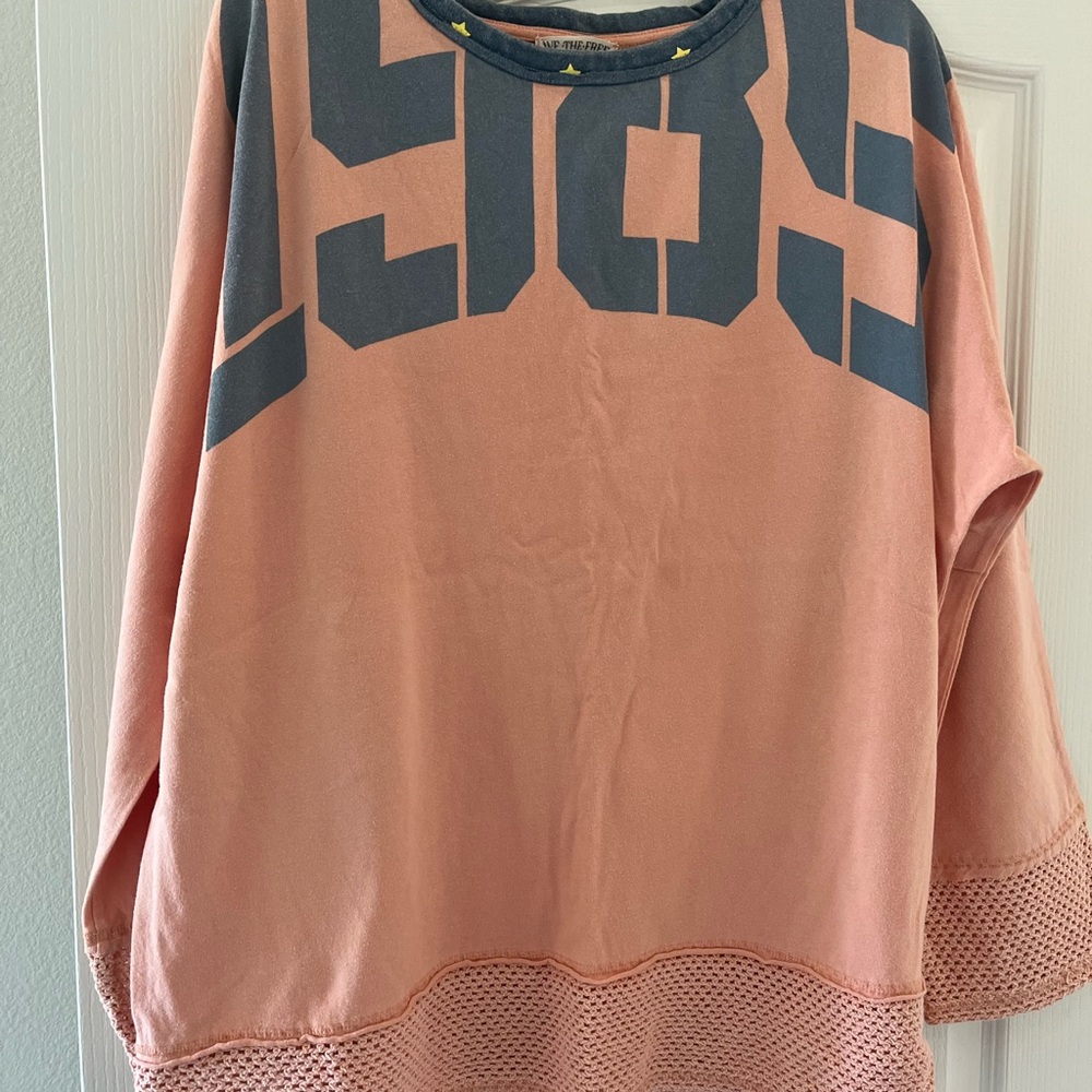 Free People Pink and Gray Crew Neck Sweater